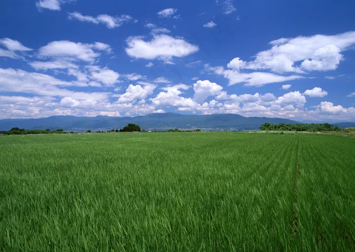 田园风光图片