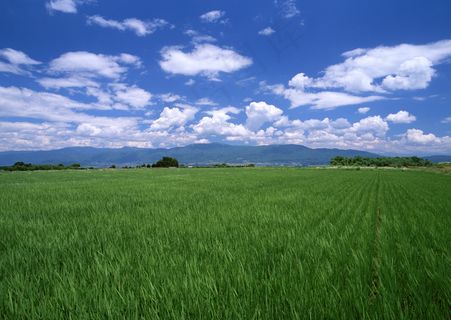 田园风光图片