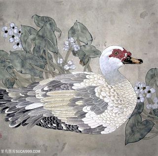 鸭子花卉时尚装饰画