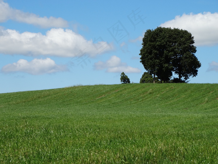 蓝天白云绿草地图片