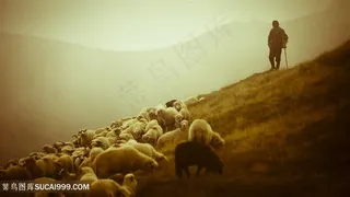 山上放羊风景画壁纸