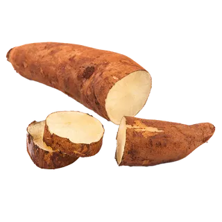 62雪莲果 (5)水果超市商品白底图免抠实物摄影png格式图片透明底