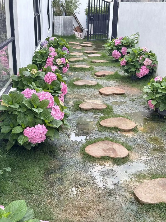 高清石头路图片