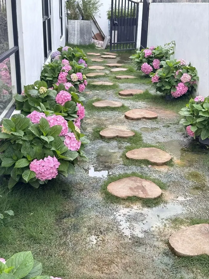 高清石头路图片