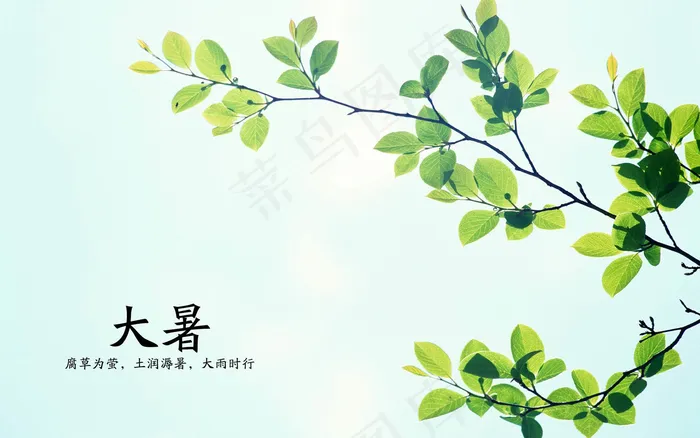 二十四节气大暑高清背景