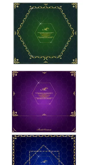 简约风古典名片海报边框图框插画插图素材AI矢量图 (19)