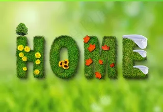 以春天为主题的图片