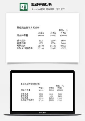 现金持有量分析excel模板预览图