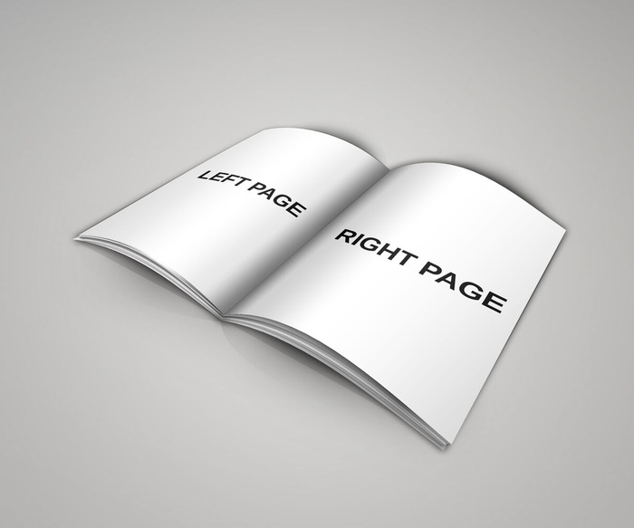 产品画册提案效果样机模板