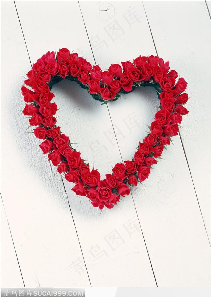 成心形的红玫瑰-3