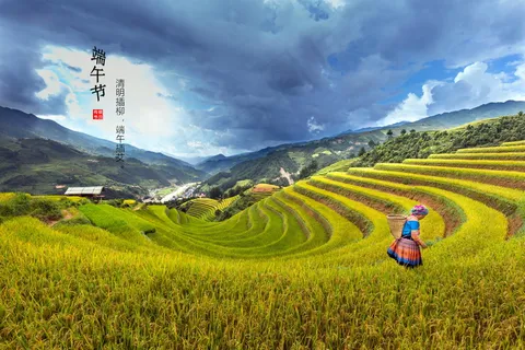 端午节设计海报图片