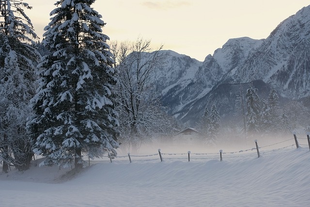冬天白雪背景风景