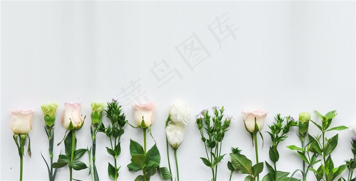 鲜花背景图片