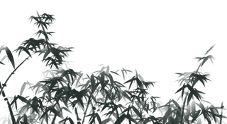 竹子水墨画中国风国画墨水书法竹子画