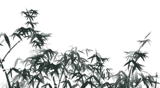 竹子水墨画中国风国画墨水书法竹子画