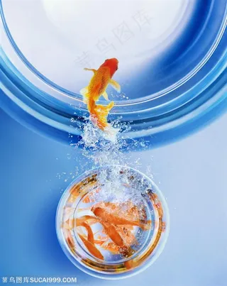 动感水纹-飞出鱼缸的金鱼
