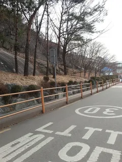 韓國冬天道路和樹 韓國冬天道路和樹