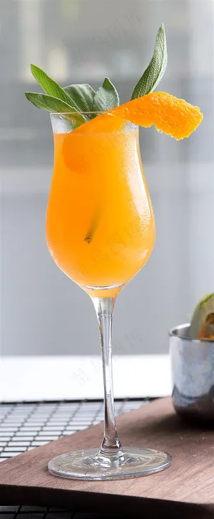 西餐厅的女士鸡尾酒 西餐厅的女士鸡尾酒