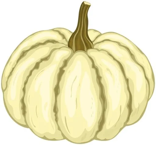 南瓜 PNG免抠(600x558)