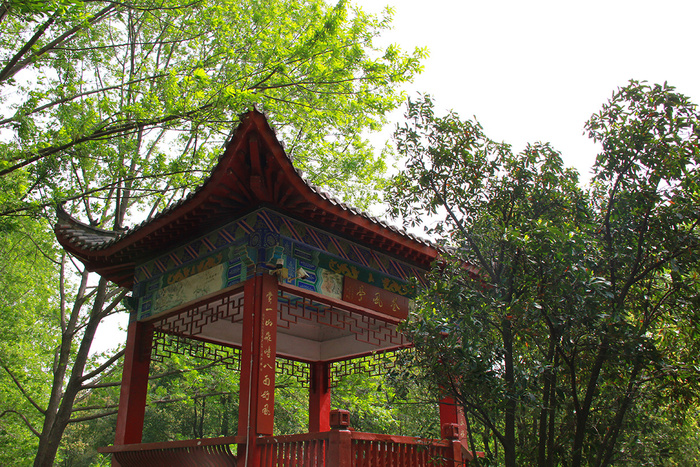 公园中古建筑凉亭仰视