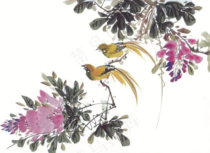 国画富贵鸟设计美图素材