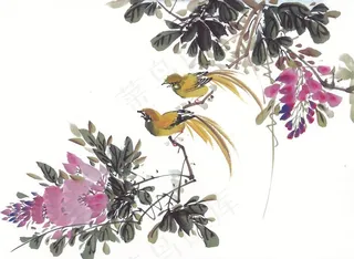 国画富贵鸟设计美图素材