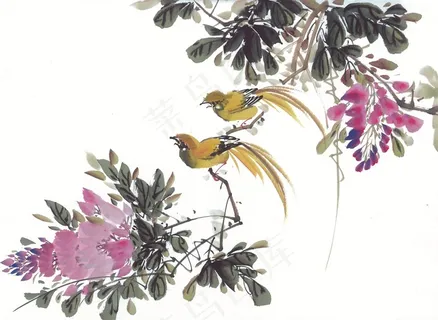 国画富贵鸟设计美图素材 国画富贵鸟设计美图素材