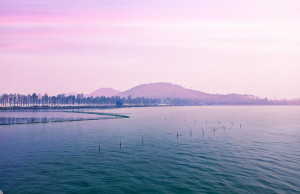 春日湖面风景