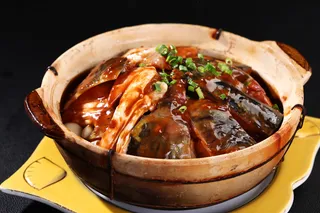 R00659生嗜南湾大鱼头