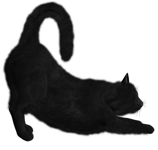 猫伸展 PNG免抠(1600x1520)