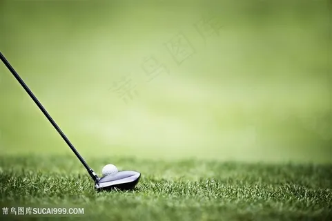 高尔夫球杆和球高清图