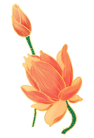 国潮中国风手绘荷花莲花荷叶莲藕植物花卉装饰插画PSD设计素材