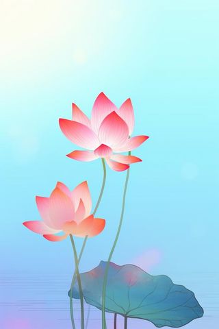 简约清新淡粉色荷花背景