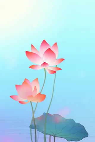 简约清新淡粉色荷花背景