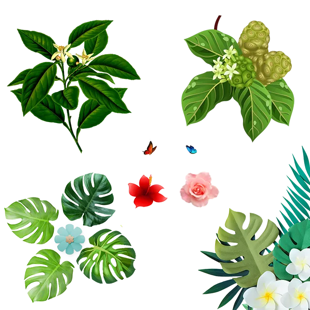 植物花叶免抠素材psd模版下载