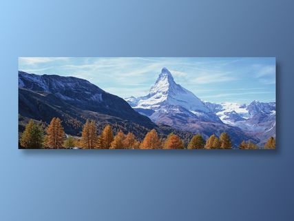 天空下雪山前的黄树梢