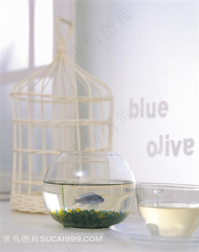 鸟笼鱼缸和玻璃茶杯