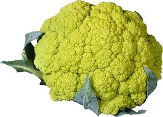 花椰菜 PNG免抠