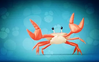 甲壳类动物螃蟹