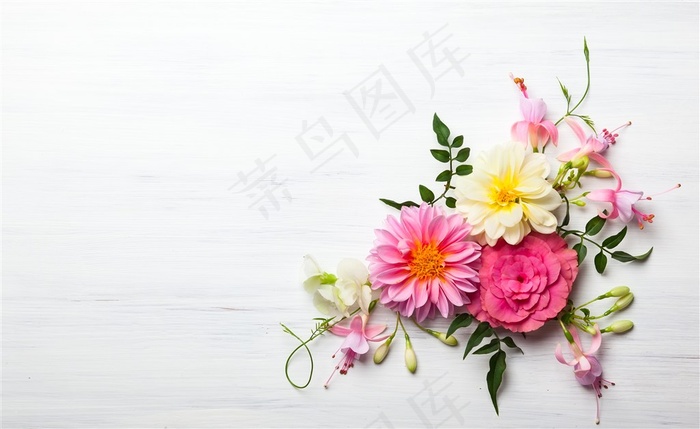 唯美彩色藤蔓花苞花朵高清图片