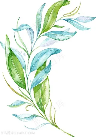 水彩树枝枝条图片