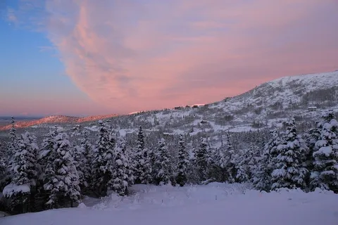 冬天白雪背景风景 冬天白雪背景风景