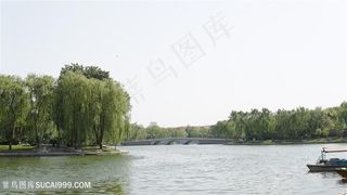 公园湖边风景