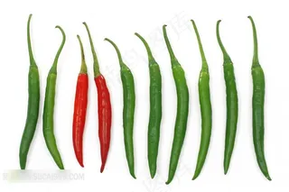 农作物辣椒特写摄影高清图片