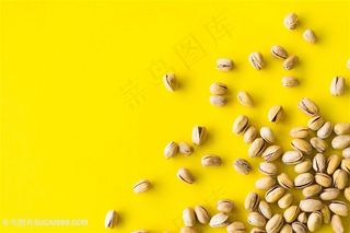 黄色背景开心果图片