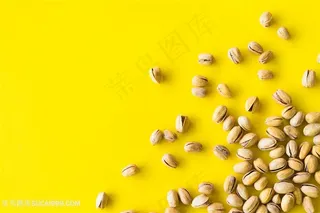 黄色背景开心果图片