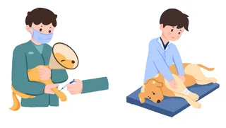 小狗看病给狗打疫苗