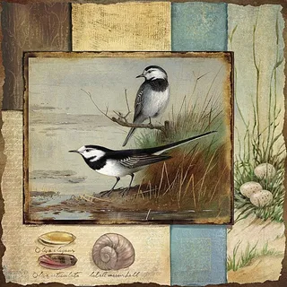 欧式花鸟装饰画