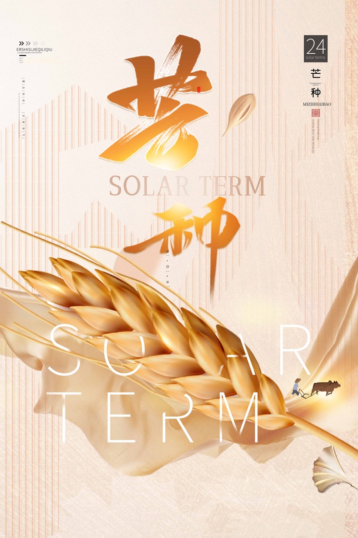 芒种 芒种海报
