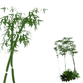 竹子水墨画中国风国画墨水书法竹子画